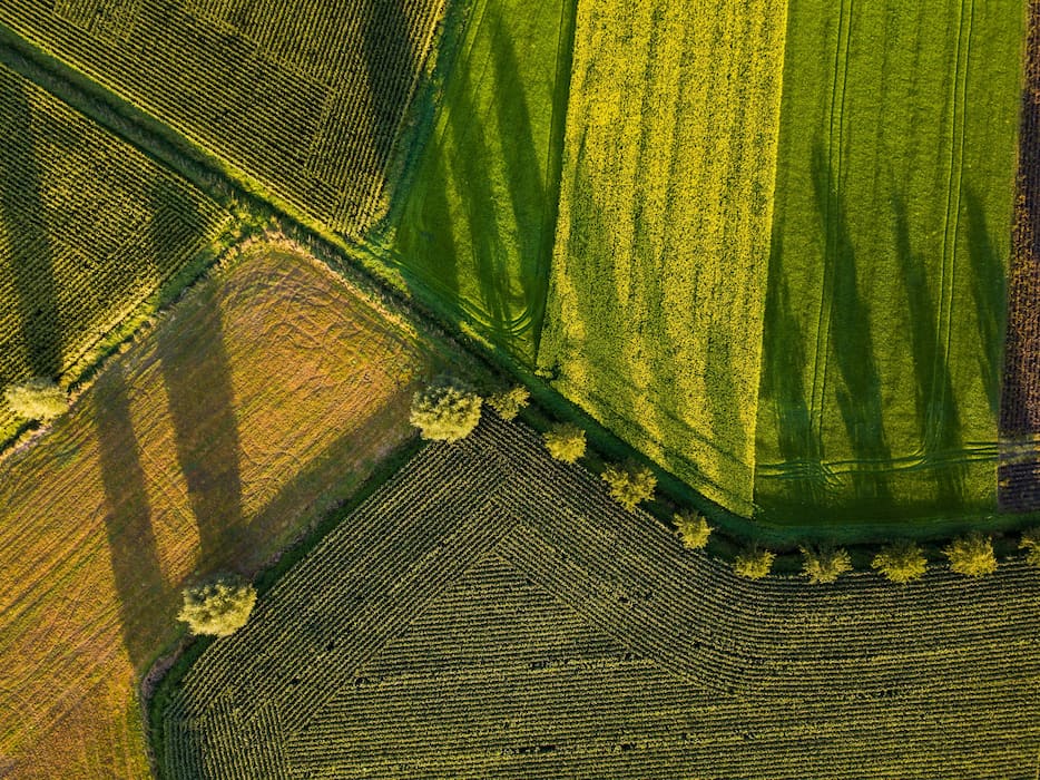 Project Image Agriculture